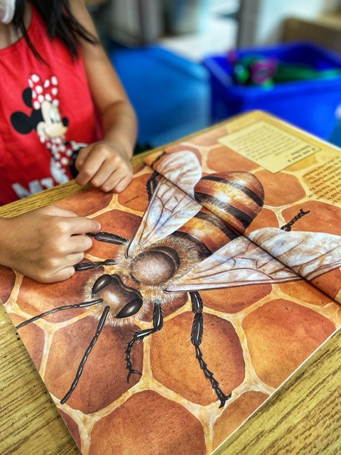 A close up of a page of a book about bees